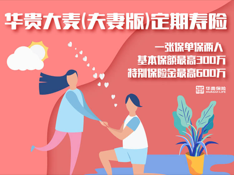 华贵守护e家（夫妻版）定期寿险